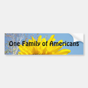 Eine Familie von Amerikanern Autoaufkleber