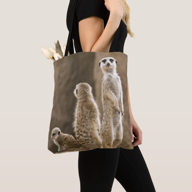 Eine Familie von Meerkats (Von Nahem)
