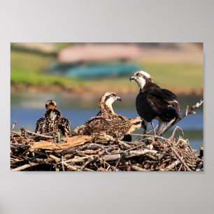 eine Familienangelegenheit Poster