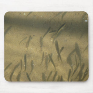 eine fantasievolle Geschichte Mousepad