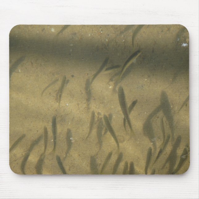 eine fantasievolle Geschichte Mousepad (Vorne)