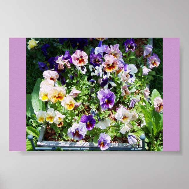 EINE FARBE POSTER (Vorne)