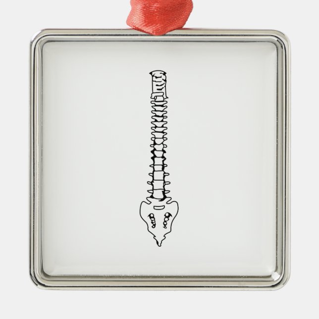 EINE FARBSPANNE ORNAMENT AUS METALL (Vorne)