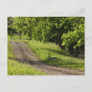 Eine Farmstraße in Ipswich, Massachusetts. Postkarte