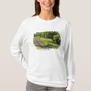 Eine Farmstraße in Ipswich, Massachusetts. T-Shirt