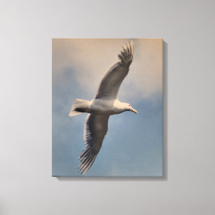 Eine fliegende Möwe auf Leinwanddruck
