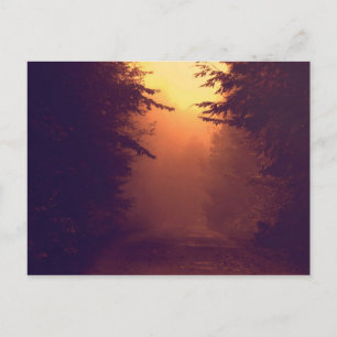 Eine Foggy Morning Postkarte