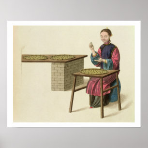 Eine Frau, die Tee zubereitet, überziehen 21 'vom Poster