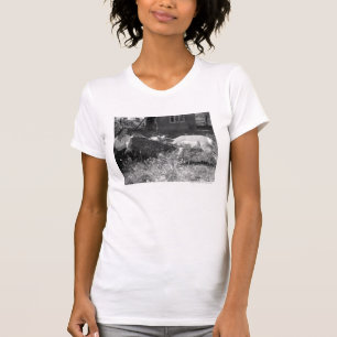 Eine Frau füttert eine Antilope mit der Flasche. T-Shirt