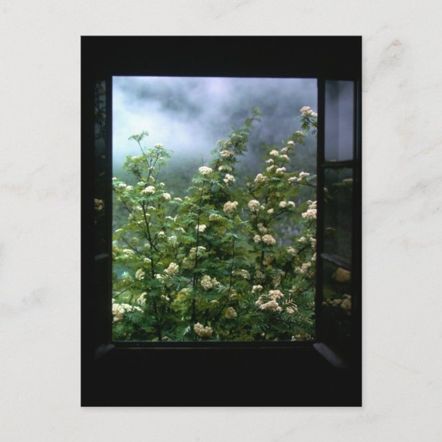 EINE FRAU IN DER LIEBE POSTKARTE (Vorderseite)