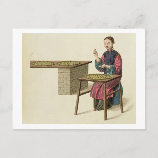 Eine Frau Tee zubereiten, Teller 21 von 'The Costu Postkarte (Vorderseite)