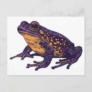 Eine Froschabbildung - l Postkarte
