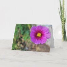 Eine Galaxie in einer Blume