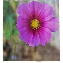 Eine Galaxie innerhalb einer Blume