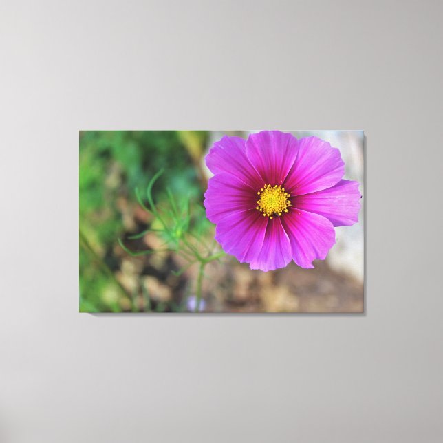 Eine Galaxie innerhalb einer Blume Leinwanddruck (Vorderseite)