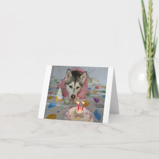 Eine Geburtstagskarte mit einem hübschen Hund Karte