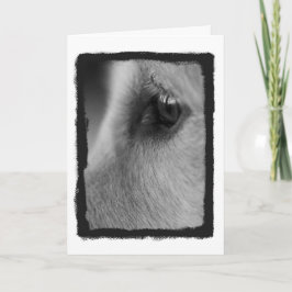 Eine Gedenkkarte Karte