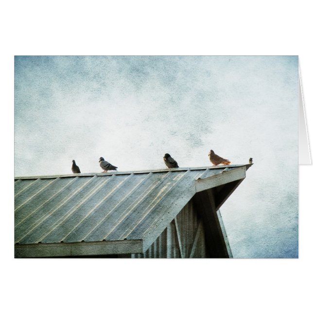 Eine gehört nicht (Vorderseite (Horizontal))