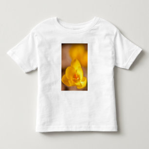 Eine gelbe Krokus blüht in Portsmouth, New Kleinkind T-shirt