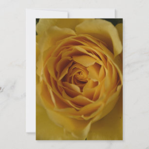 Eine gelbe Rose 60. Geburtstagsparty Einladung
