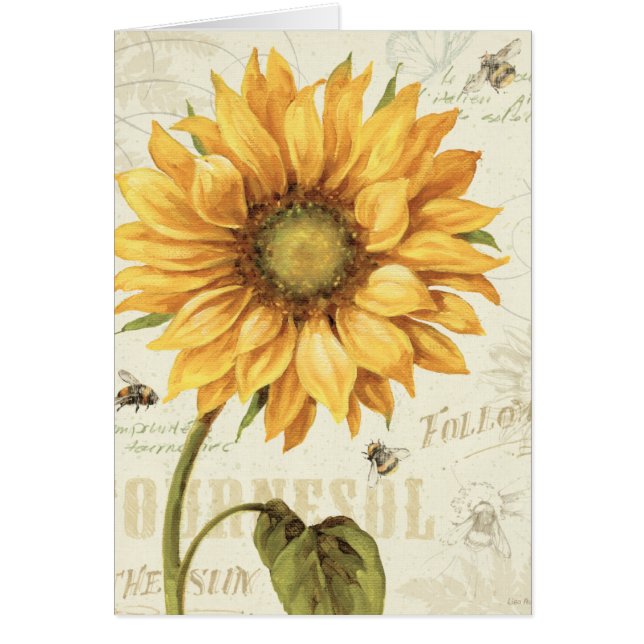 Eine gelbe Sonnenblume (Vorne)