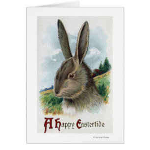 Eine glückliche EastertideGray Kaninchen-Szene