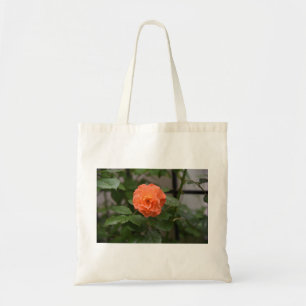 Eine glühende Westerland-Rose..JPG Tragetasche