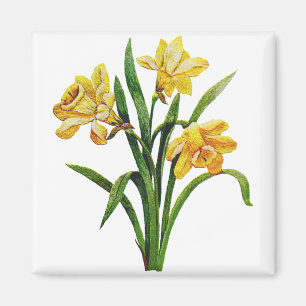 Eine goldene Schar gestickter Narzissen Magnet