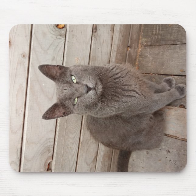 Eine graue noble Katze Mousepad (Vorne)