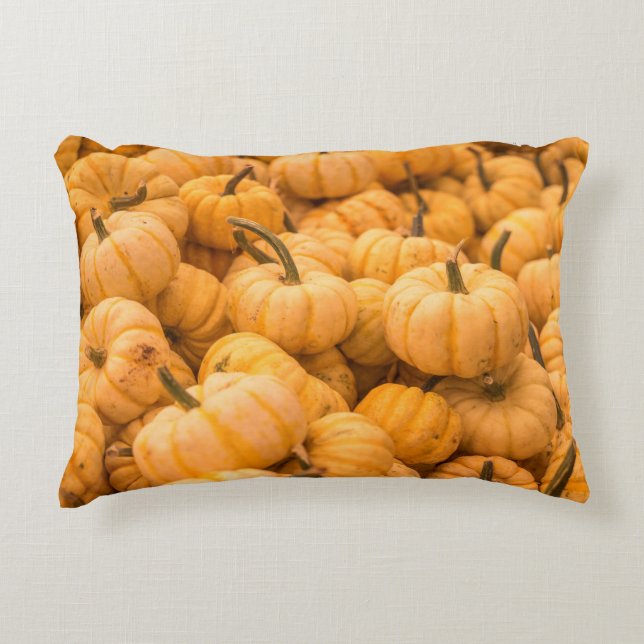 Eine große Menge an Pumpkins Dekokissen (Vorderseite)