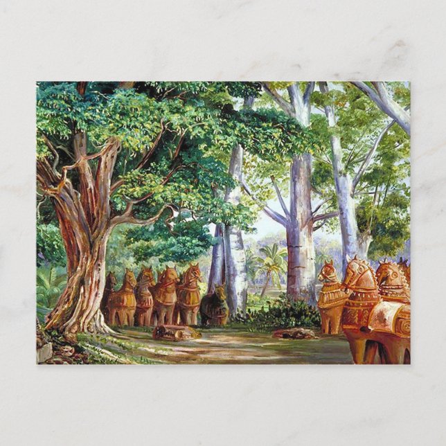 Eine große Postkarte des Tamarind (Vorderseite)