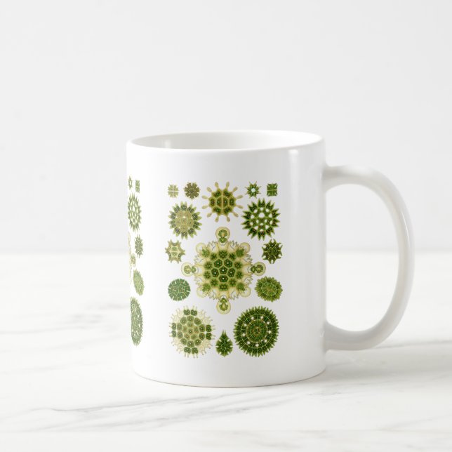 Eine Grünalge Tasse (Rechts)