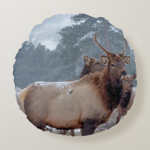 EINE GRUPPE HIRSCH RUNDES KISSEN