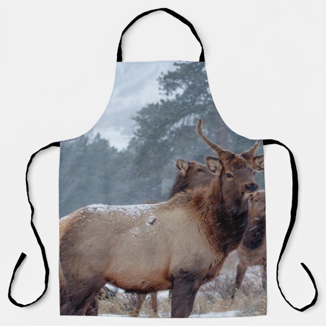 EINE GRUPPE HIRSCH SCHÜRZE (Vorderseite)