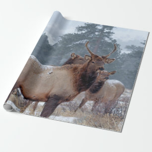 EINE GRUPPE HIRSCHE GESCHENKPAPIER
