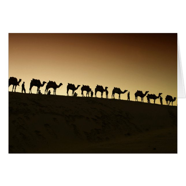 Eine Gruppe Kamelzüchter mit ihren Kamelen (Vorderseite (Horizontal))