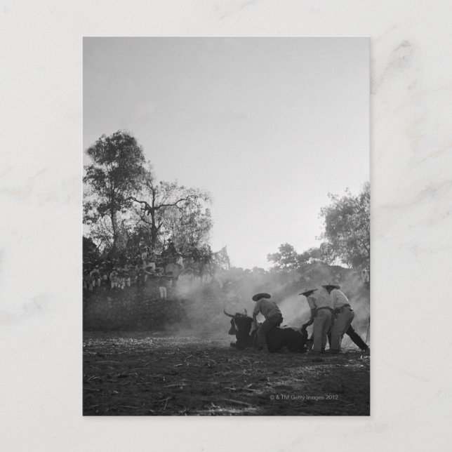 Eine Gruppe mexikanischer Stierkämpfer-Drehung Postkarte (Vorderseite)