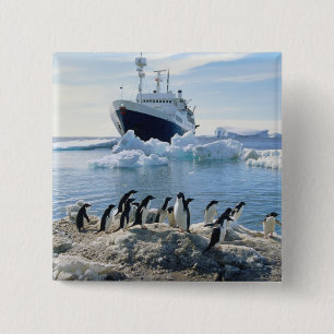 Eine Gruppe Penguins stehend auf einem eisigen Button