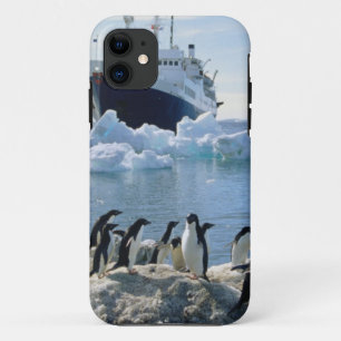Eine Gruppe Penguins stehend auf einem eisigen iPhone 11 Hülle