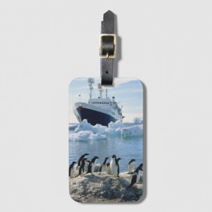 Eine Gruppe Penguins stehend auf einem eisigen Gepäckanhänger