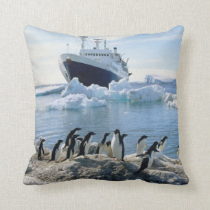 Eine Gruppe Penguins stehend auf einem eisigen Kissen