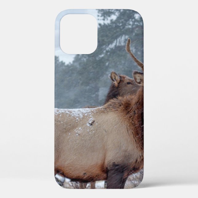 EINE GRUPPE ROTWILD Case-Mate iPhone HÜLLE (Rückseite)