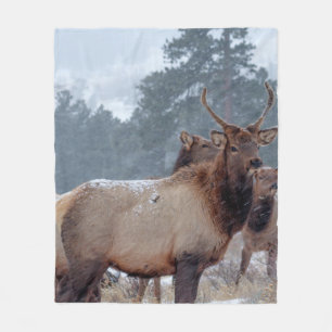 EINE GRUPPE VON HÄNDLERN FLEECEDECKE