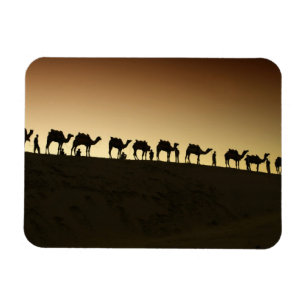 Eine Gruppe von Kamelhirten mit ihren Kamelen Magnet