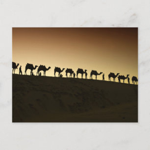Eine Gruppe von Kamelhirten mit ihren Kamelen Postkarte