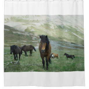 EINE GRUPPE VON PFERDEN AUF EINER BERGSTUFE DUSCHVORHANG