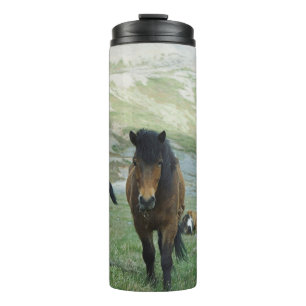EINE GRUPPE VON PFERDEN AUF EINER BERGWEIDE THERMOSBECHER