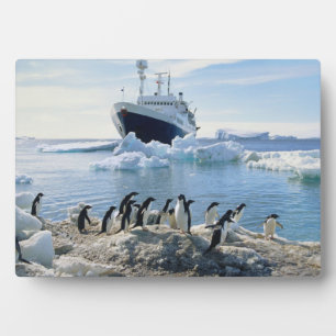 Eine Gruppe von Pinguinen, die an einem Icy Beach Fotoplatte