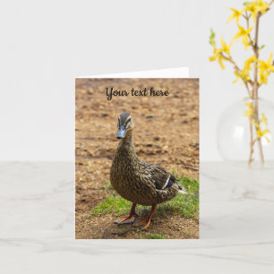 Eine Grußkarte für Mallard Duck Karte
