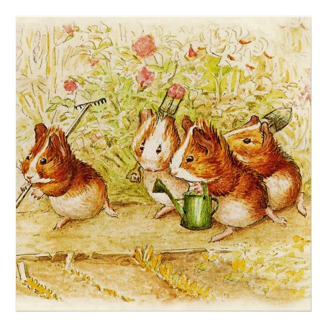 Eine Guinea Schweinegarten von Beatrix Potter Fotodruck (Vorne)